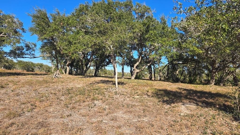 84.63 acres in Texas County - photo 17