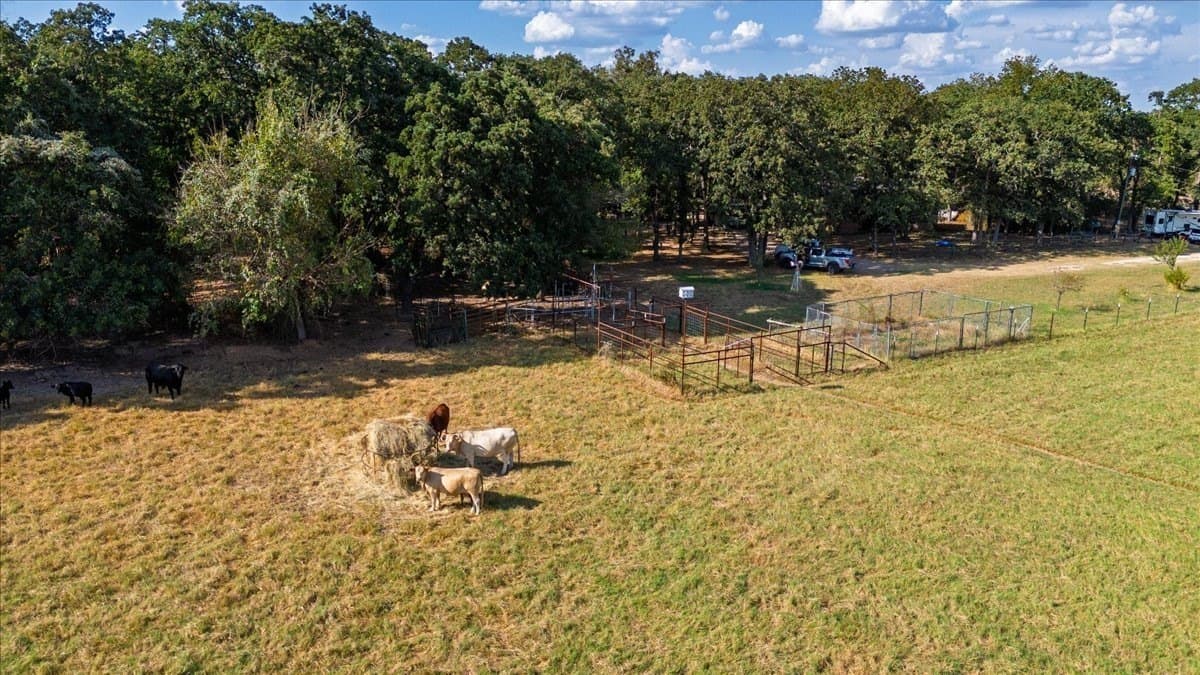 26.33 acres in Falls County - photo 36