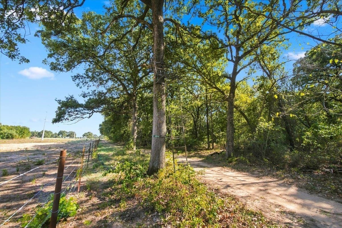 26.33 acres in Falls County - photo 30