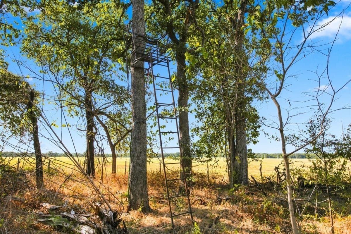26.33 acres in Falls County - photo 31