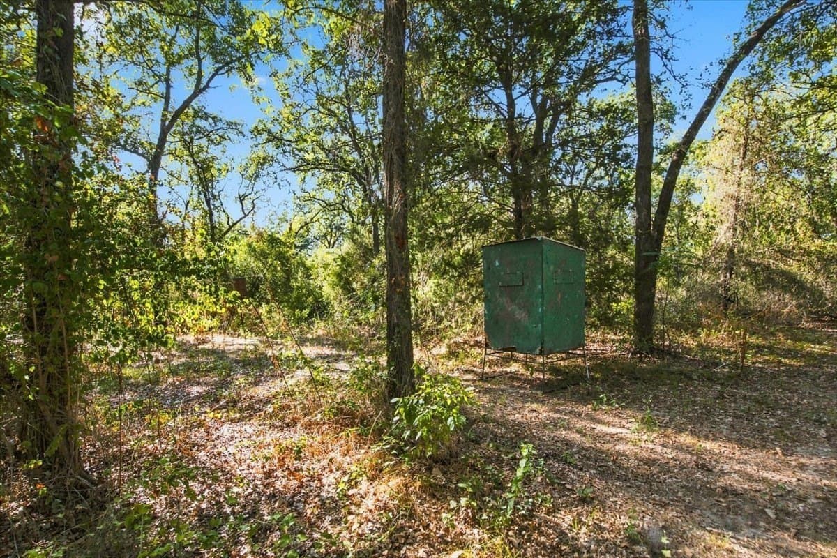 26.33 acres in Falls County - photo 32