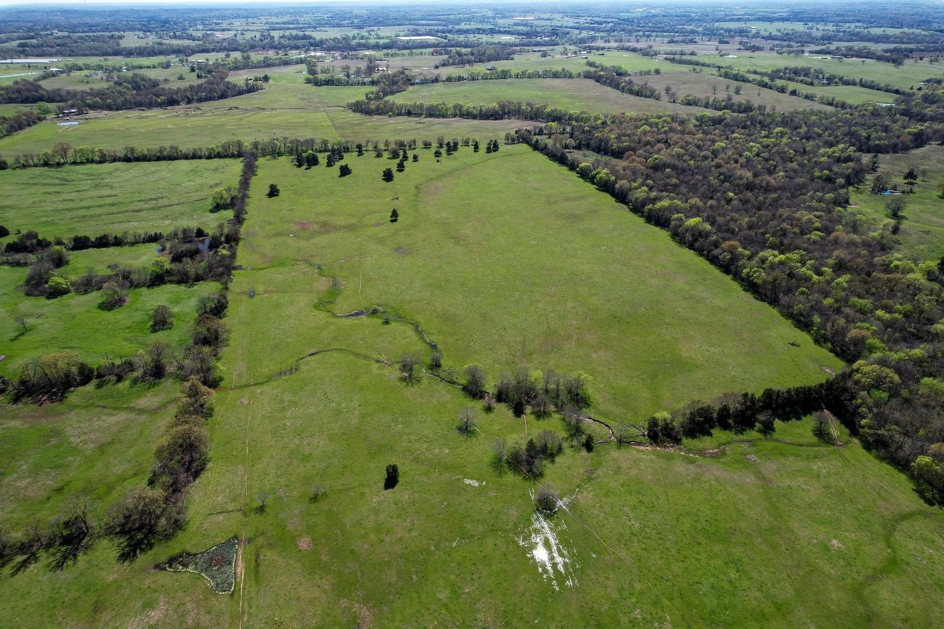 108.63 acres in Franklin (TX) County - photo 8