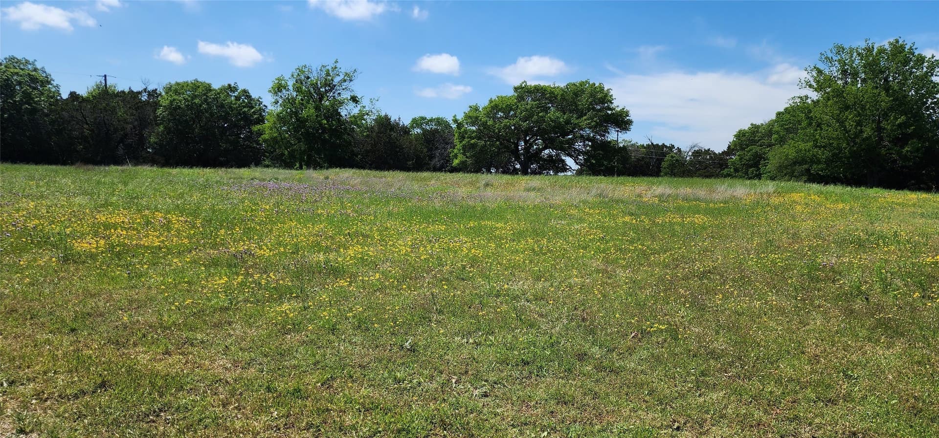 0.44 acres in Bosque County - photo 5