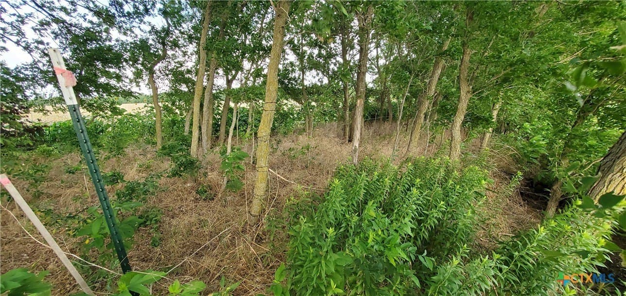 5.84 acres in Bell County featured view