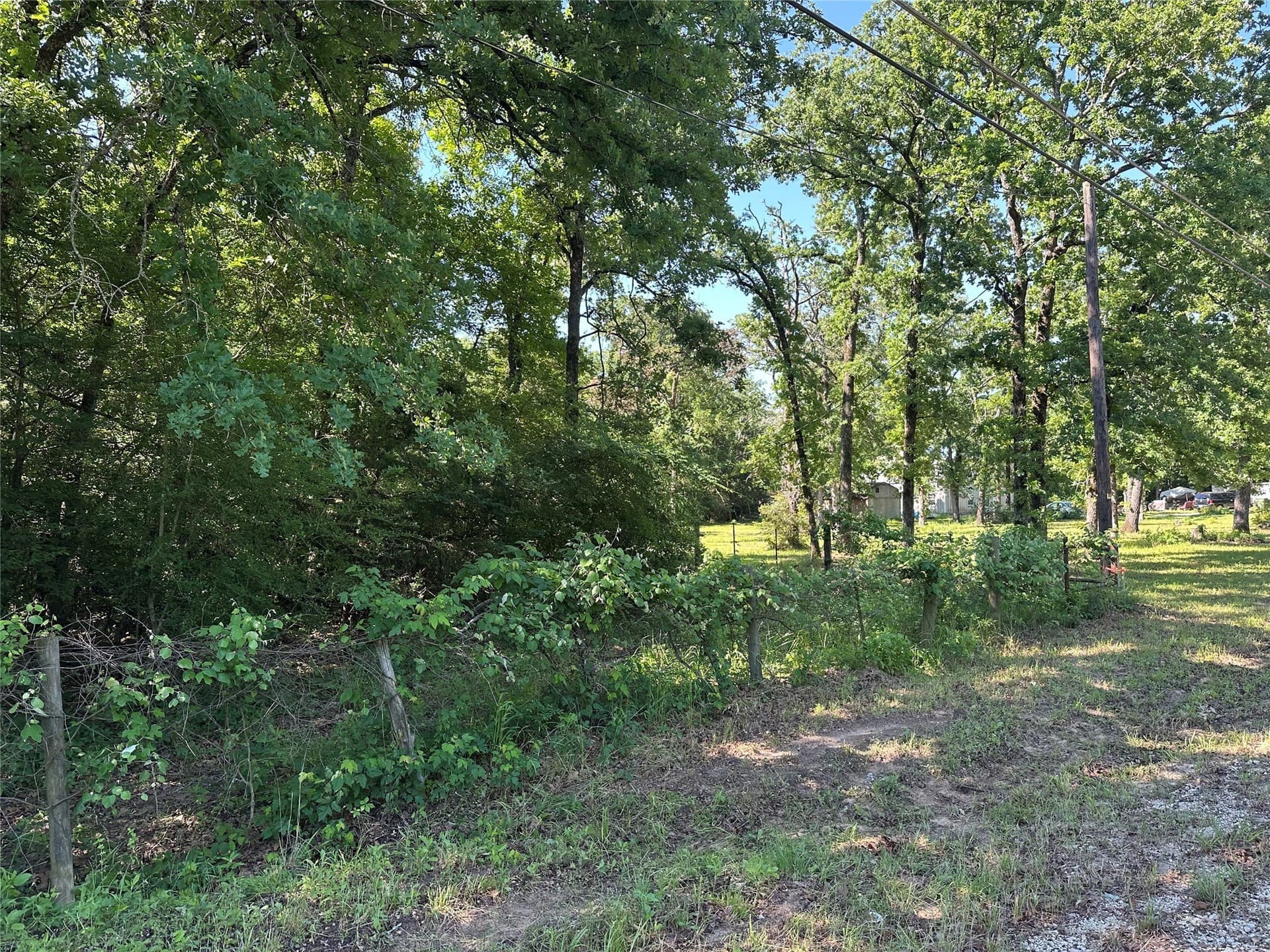 6 acres in Limestone County - photo 4