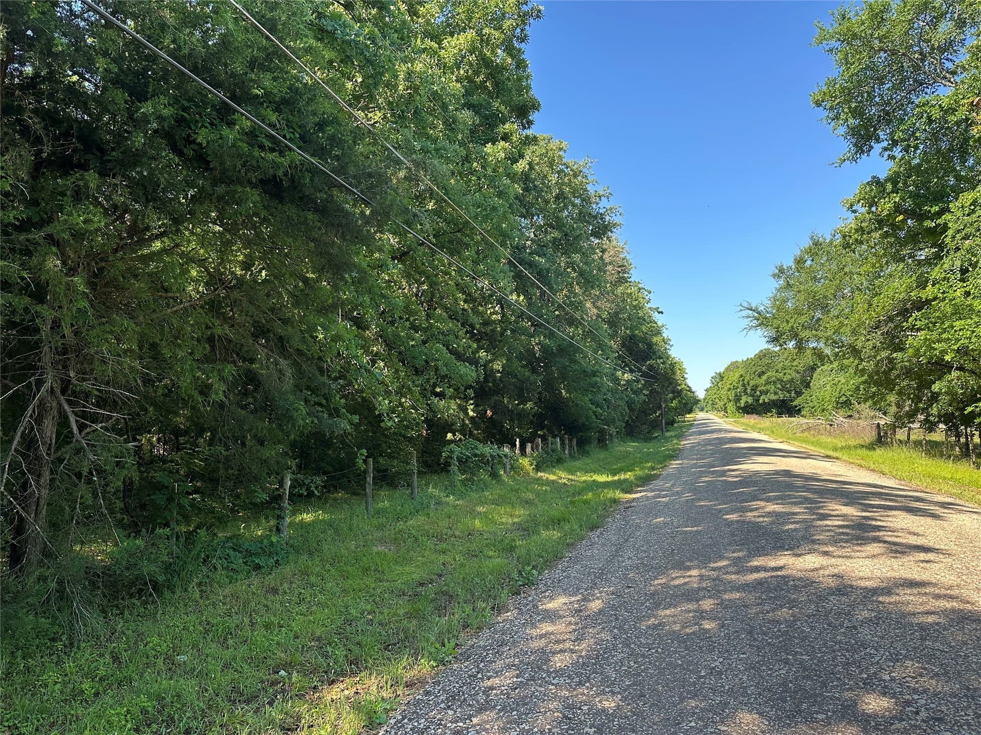 6 acres in Limestone County - photo 9