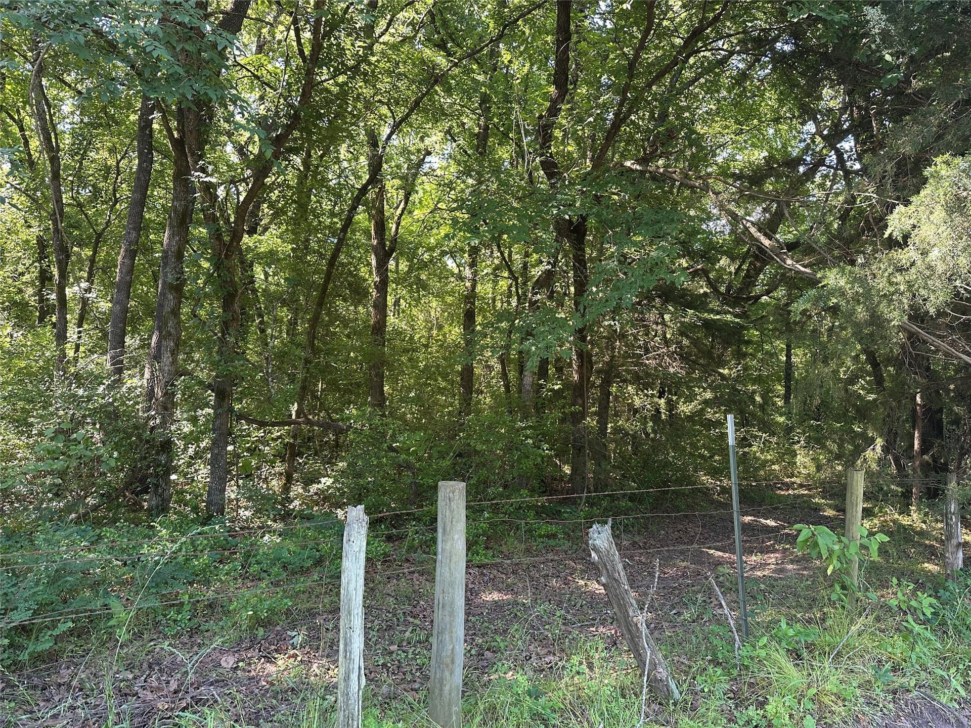 6 acres in Limestone County - photo 6