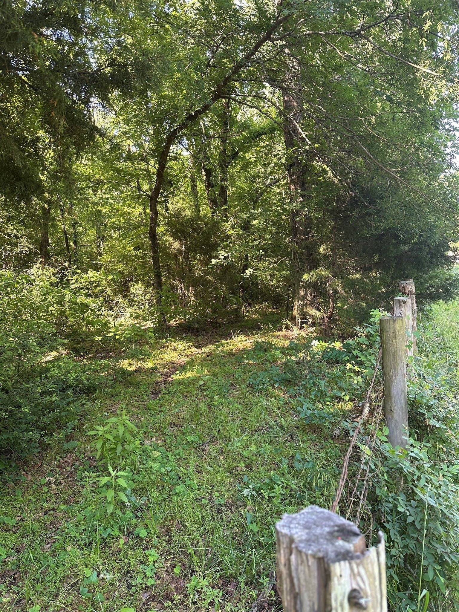 6 acres in Limestone County - photo 7