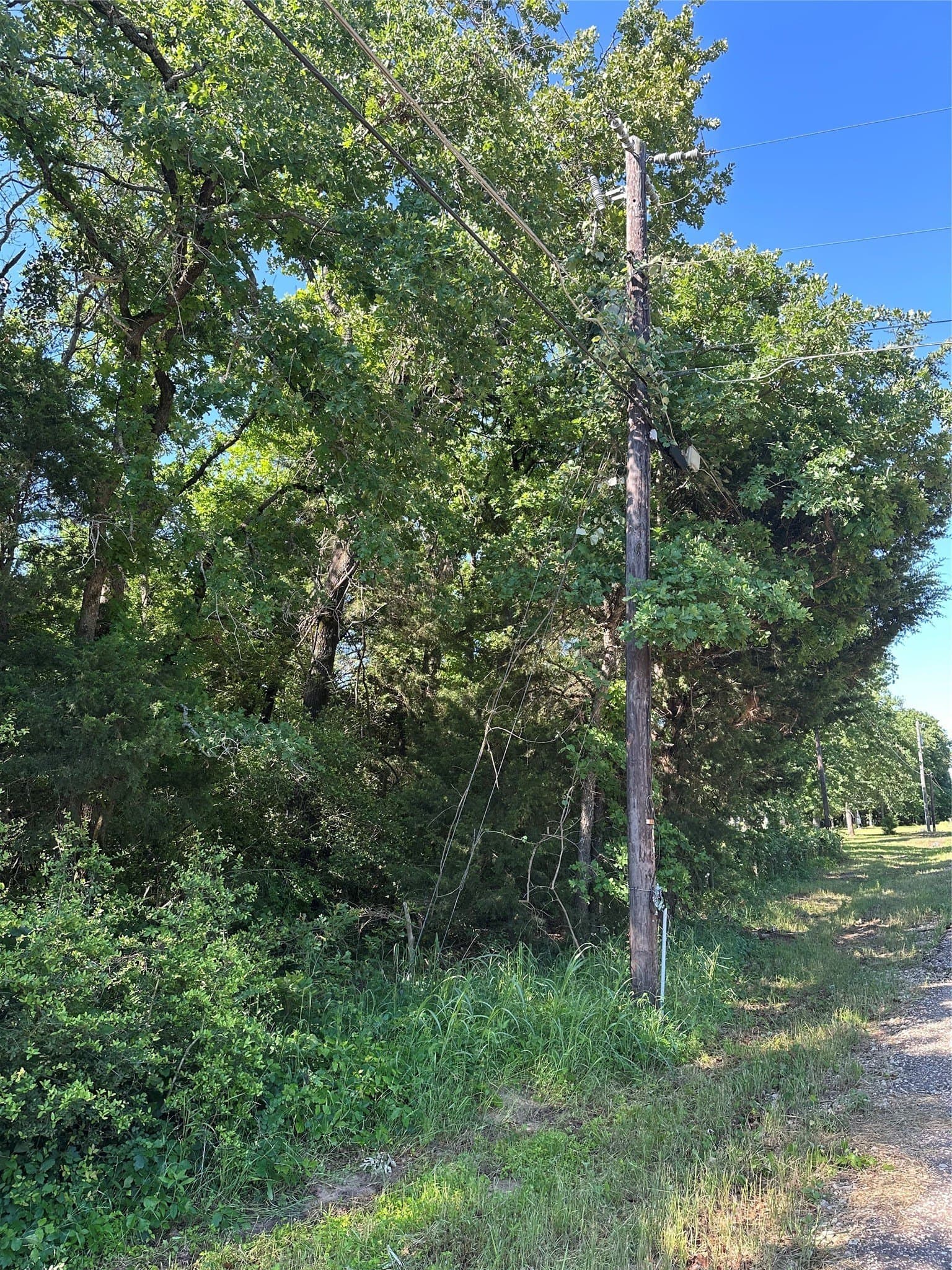 6 acres in Limestone County - photo 14