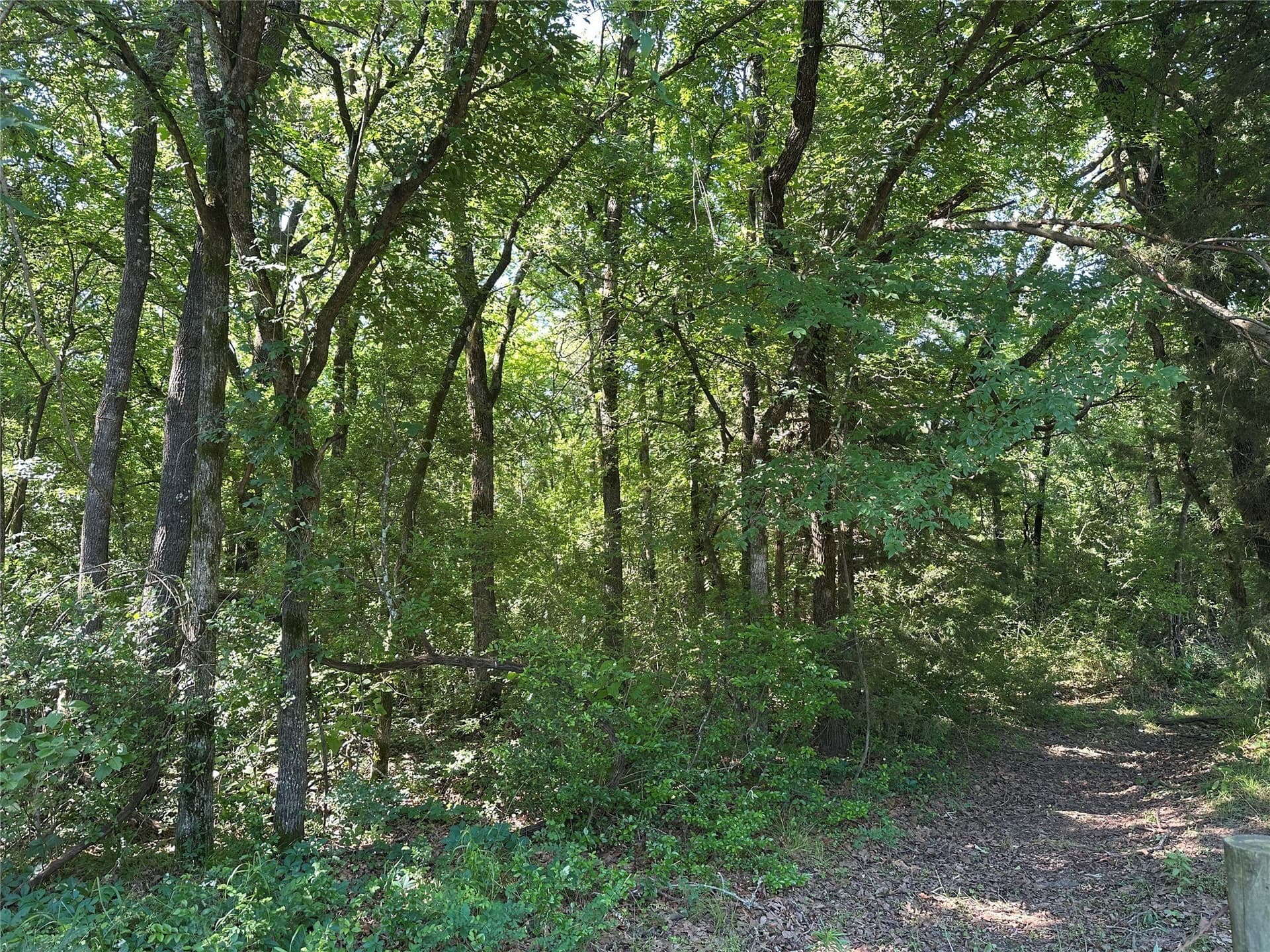6 acres in Limestone County - photo 11
