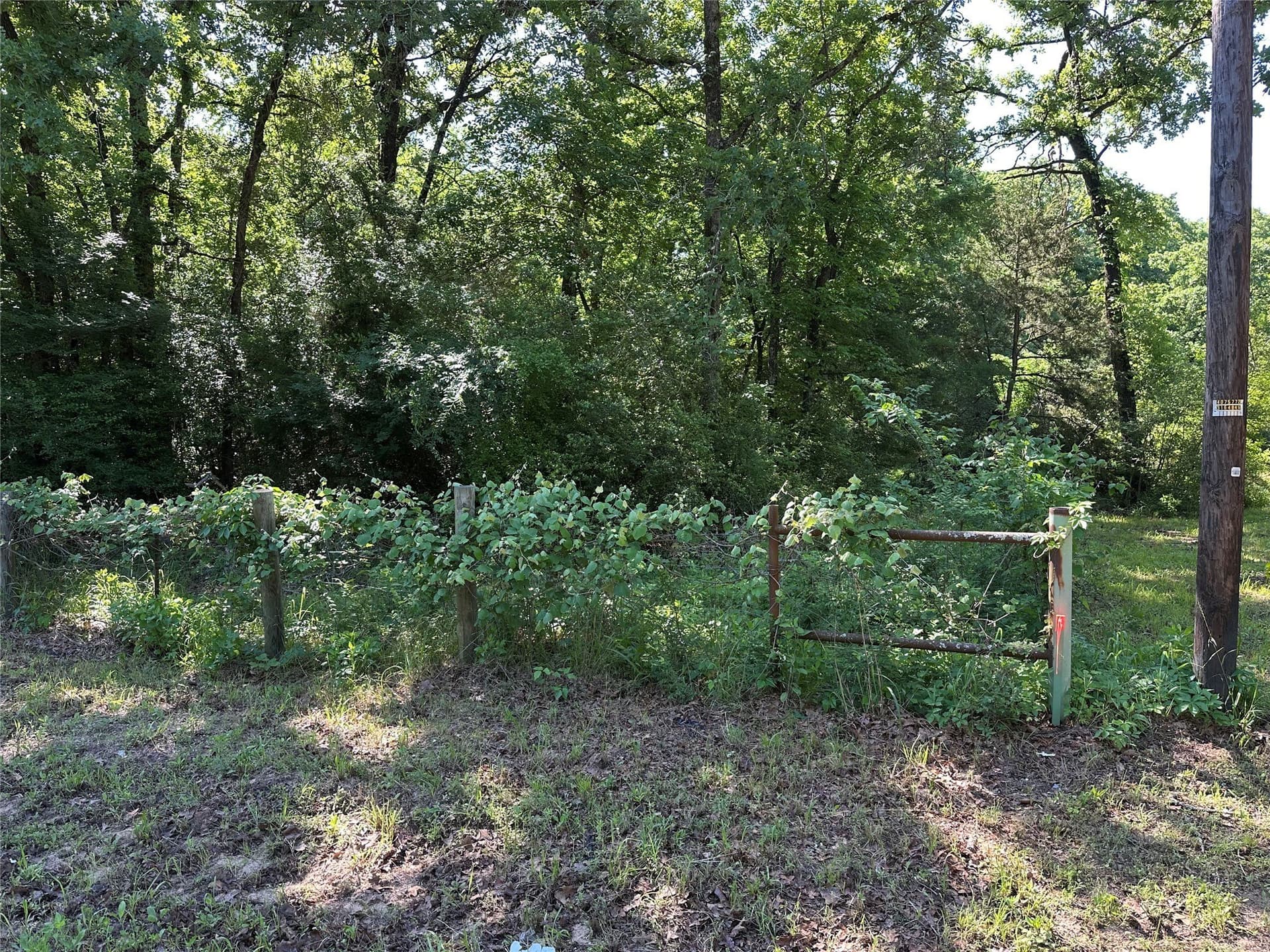 6 acres in Limestone County - photo 12