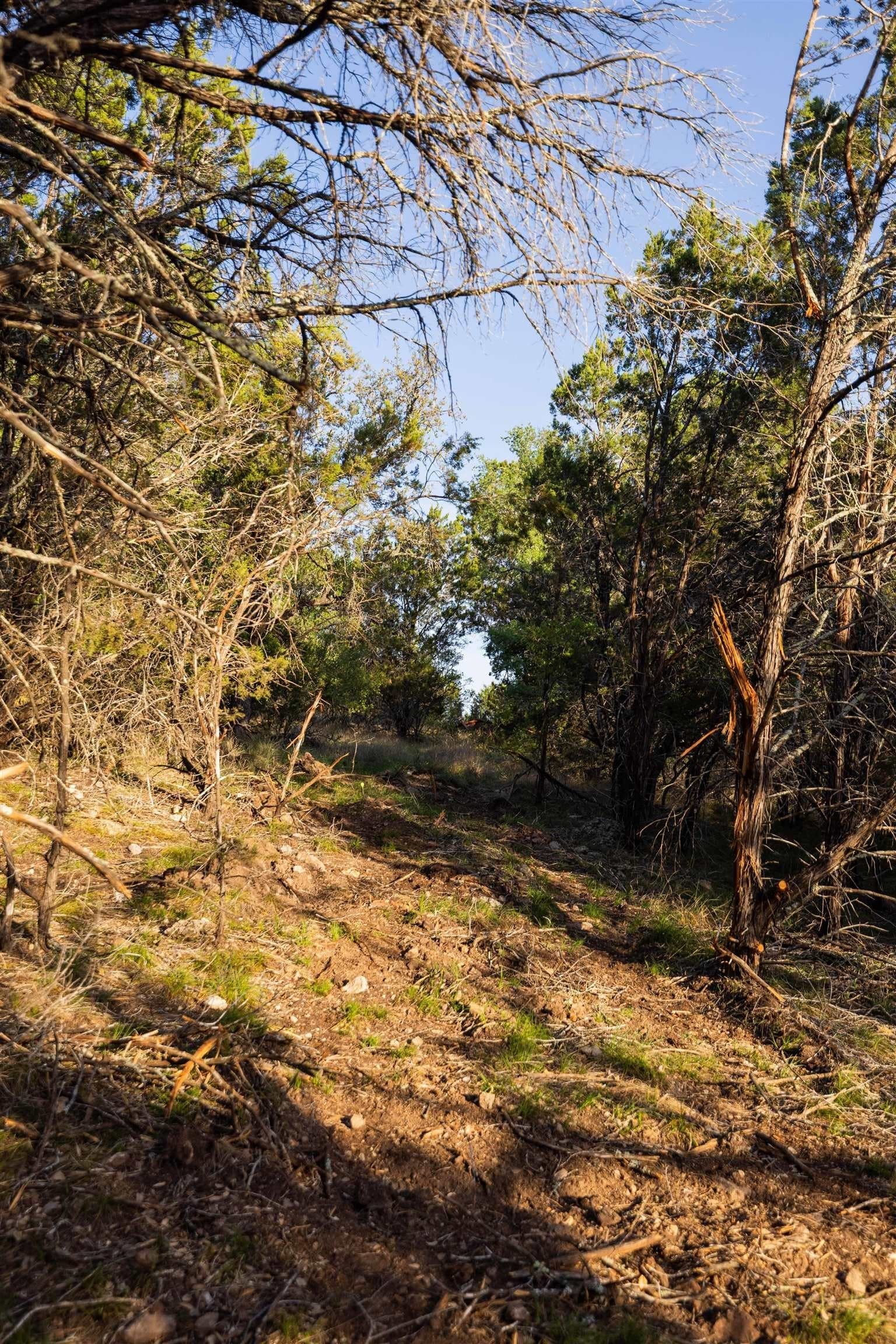 14.3 acres in Burnet County - photo 14
