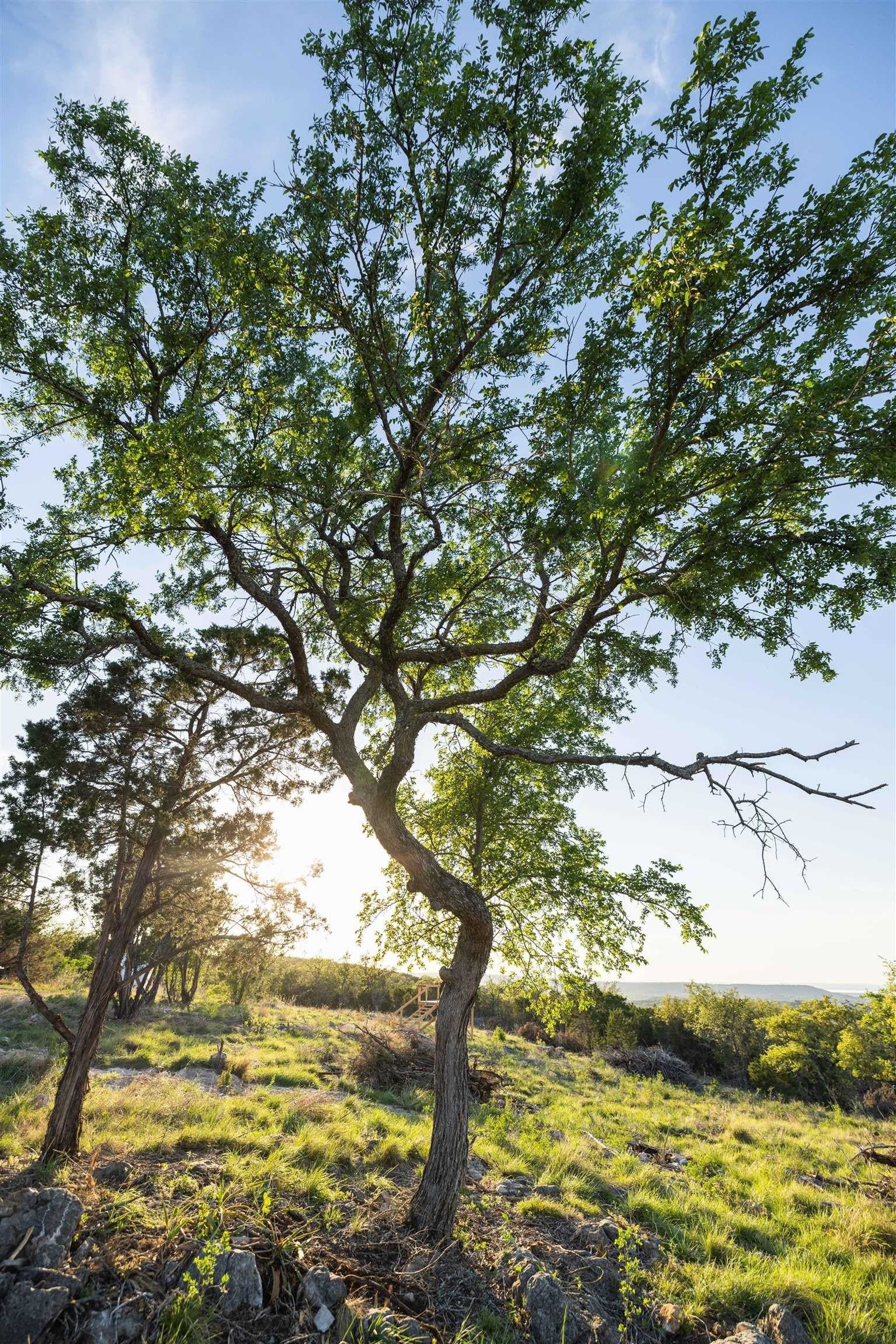 14.3 acres in Burnet County - photo 20
