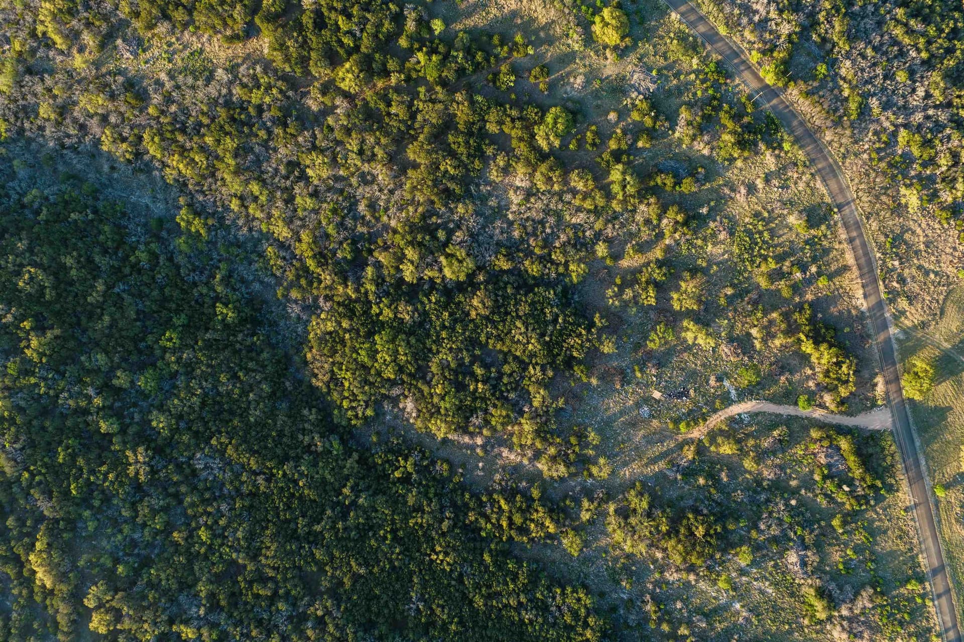 14.3 acres in Burnet County - photo 24