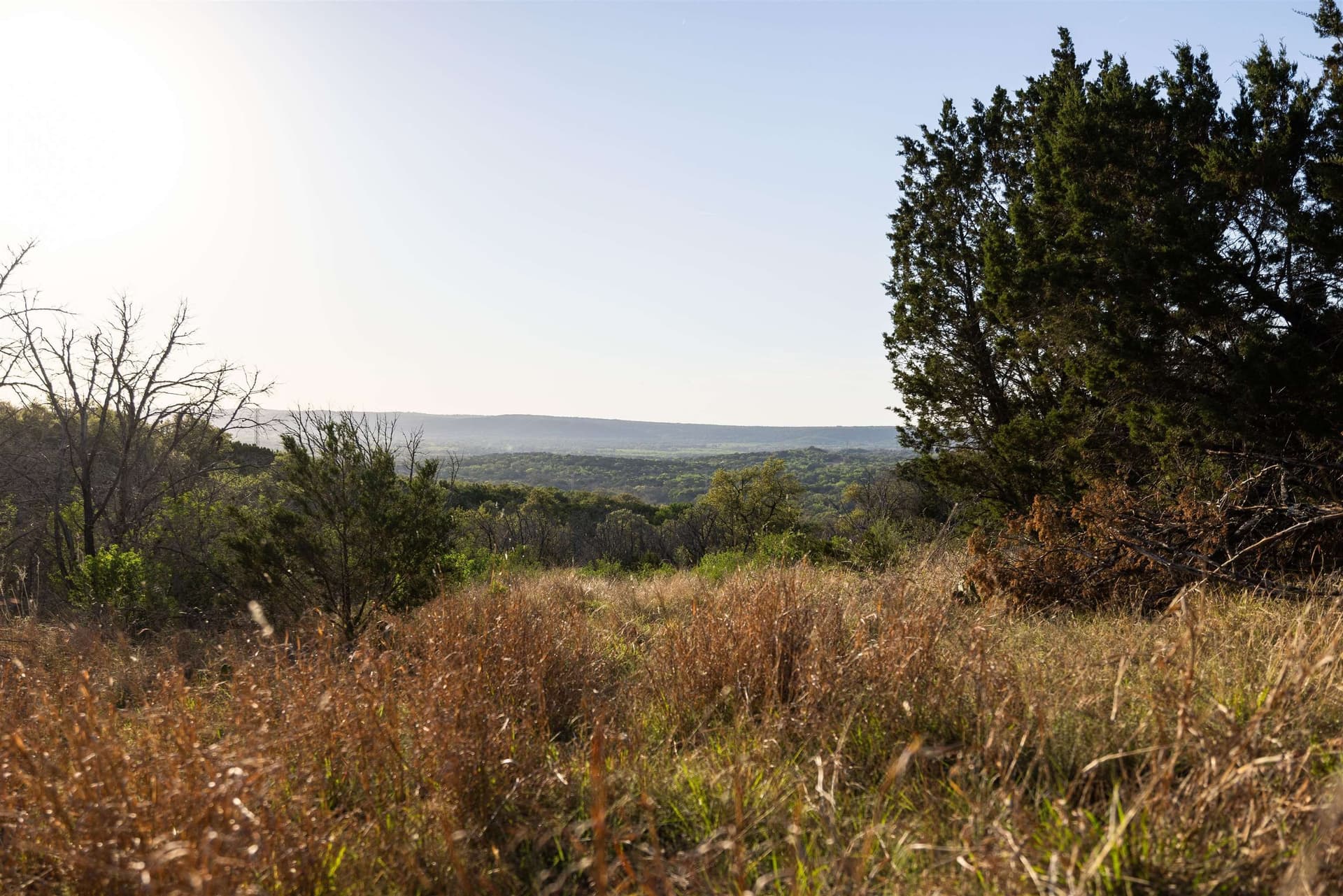 14.3 acres in Burnet County - photo 10