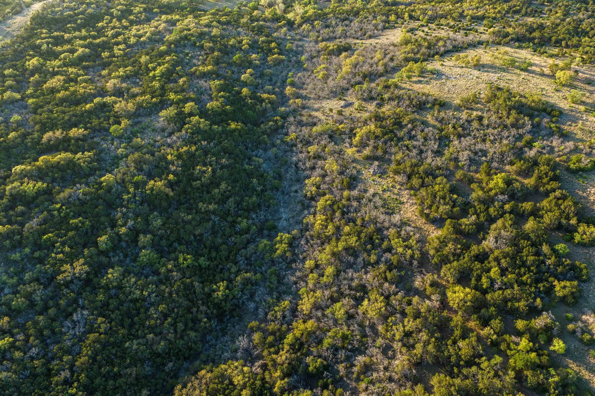 14.3 acres in Burnet County - photo 25