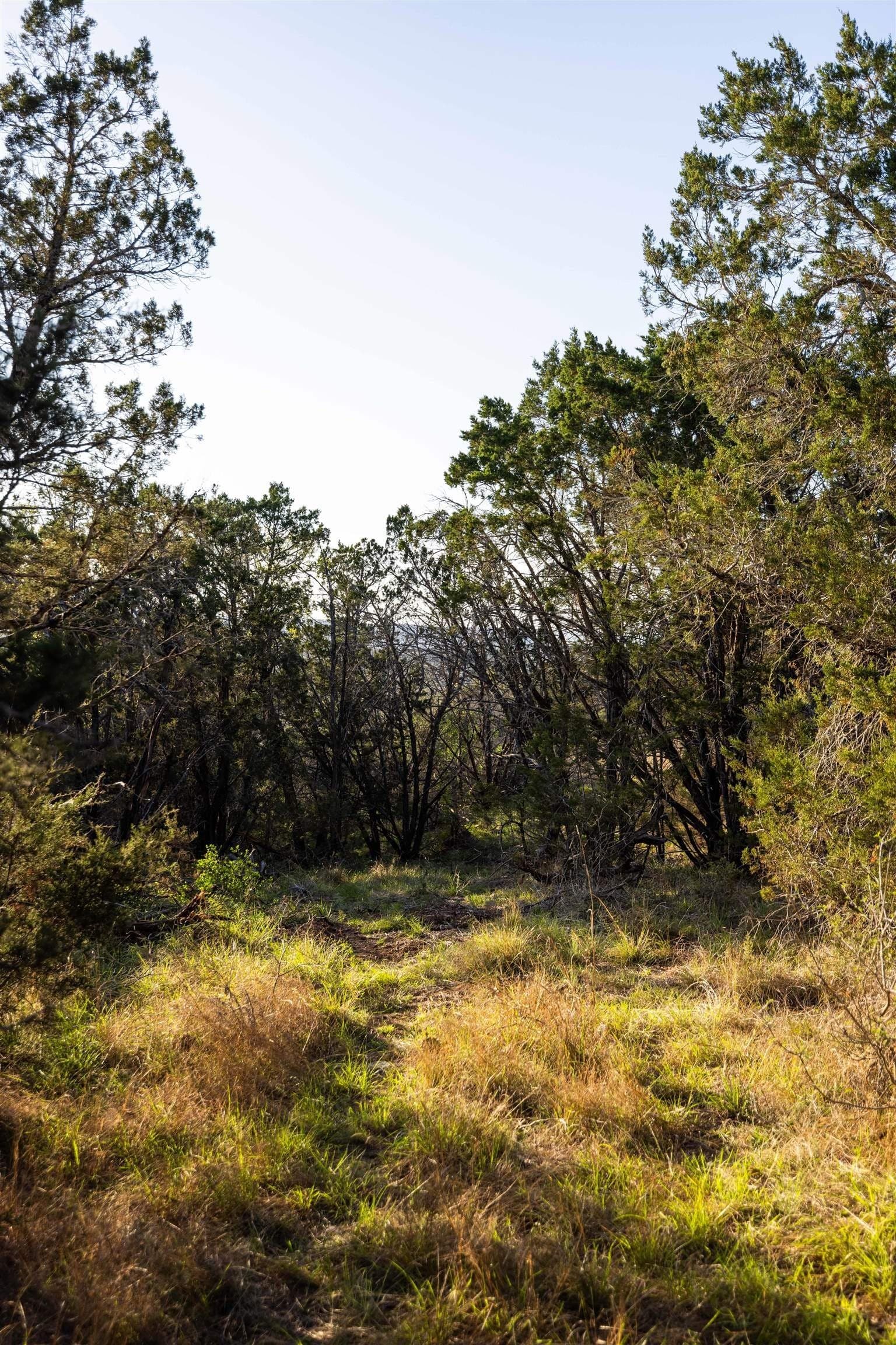 14.3 acres in Burnet County - photo 13