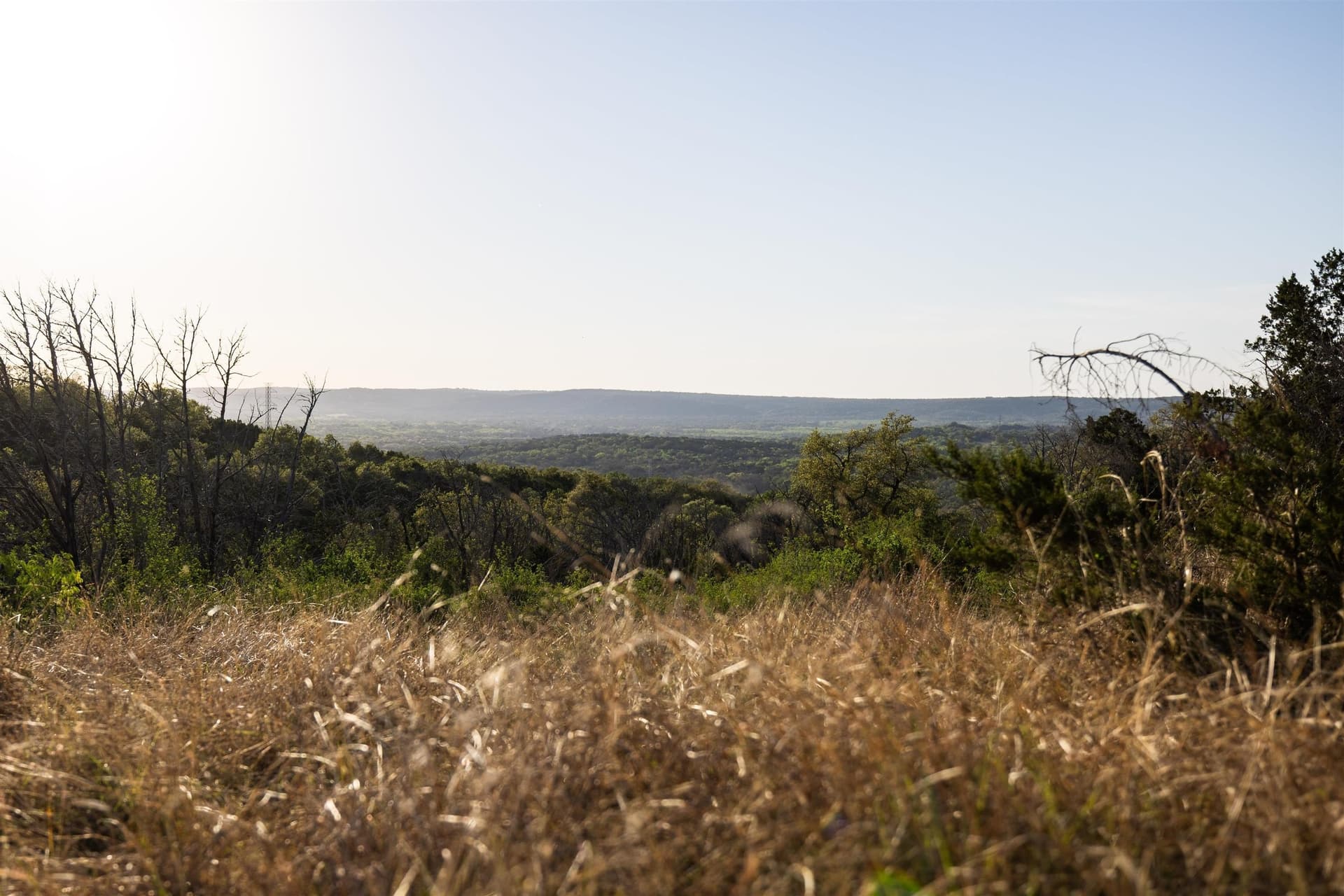 14.3 acres in Burnet County - photo 9