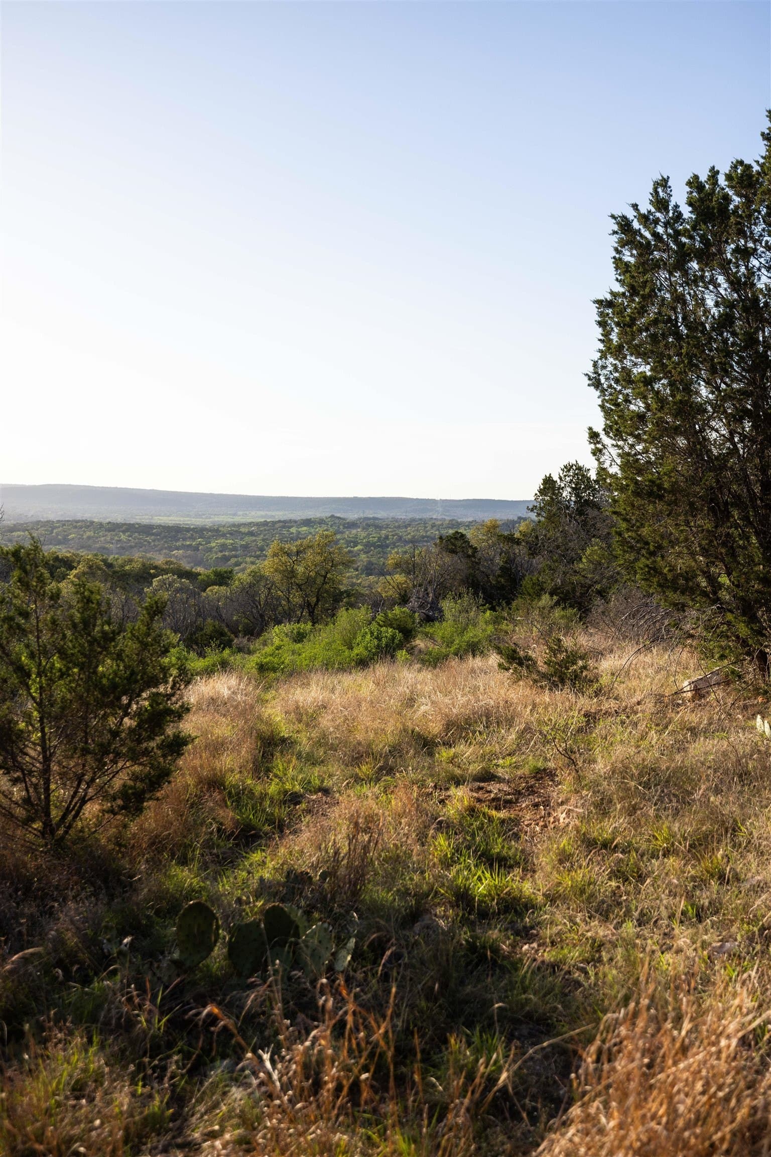 14.3 acres in Burnet County - photo 12