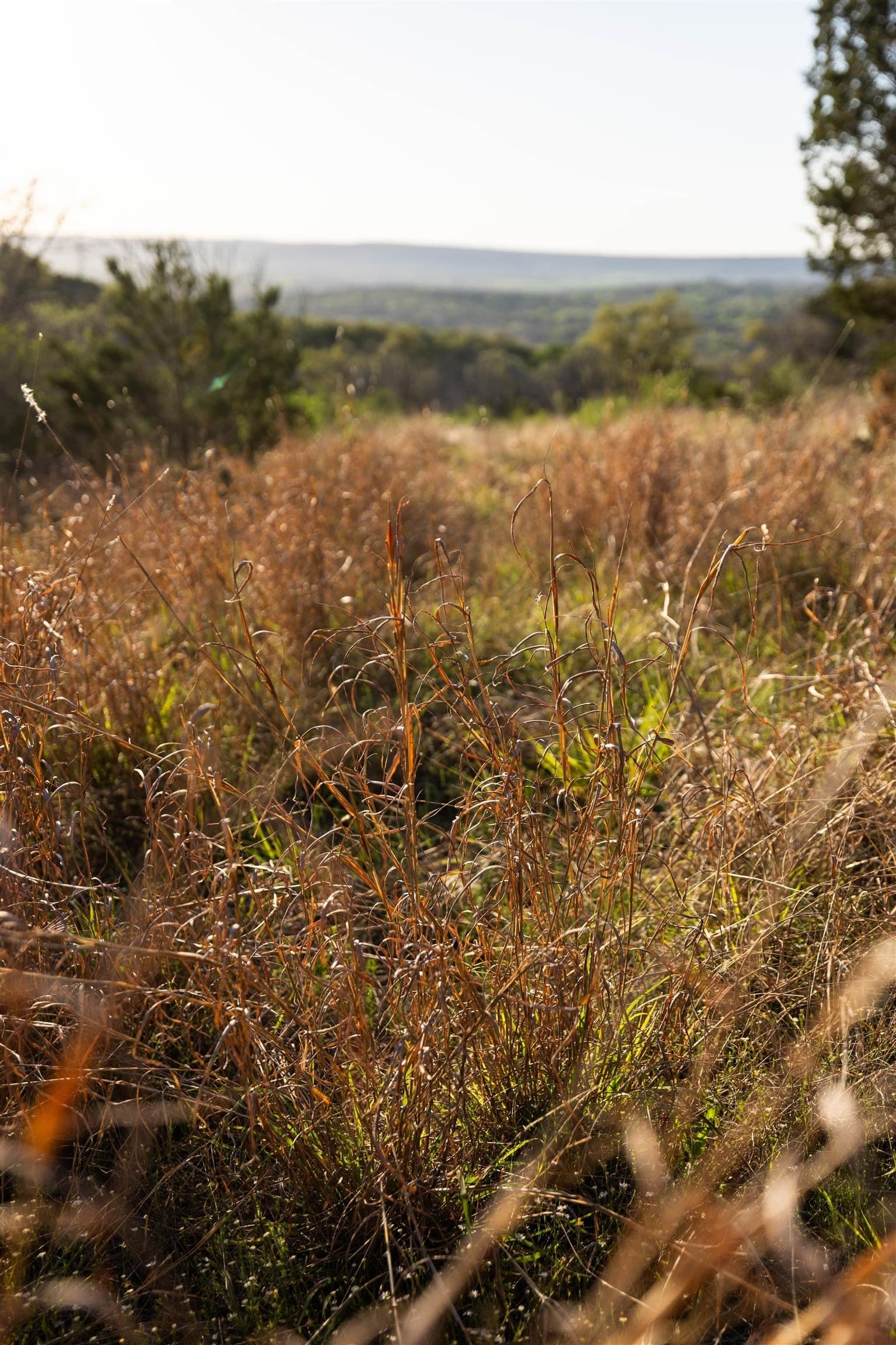 14.3 acres in Burnet County - photo 11