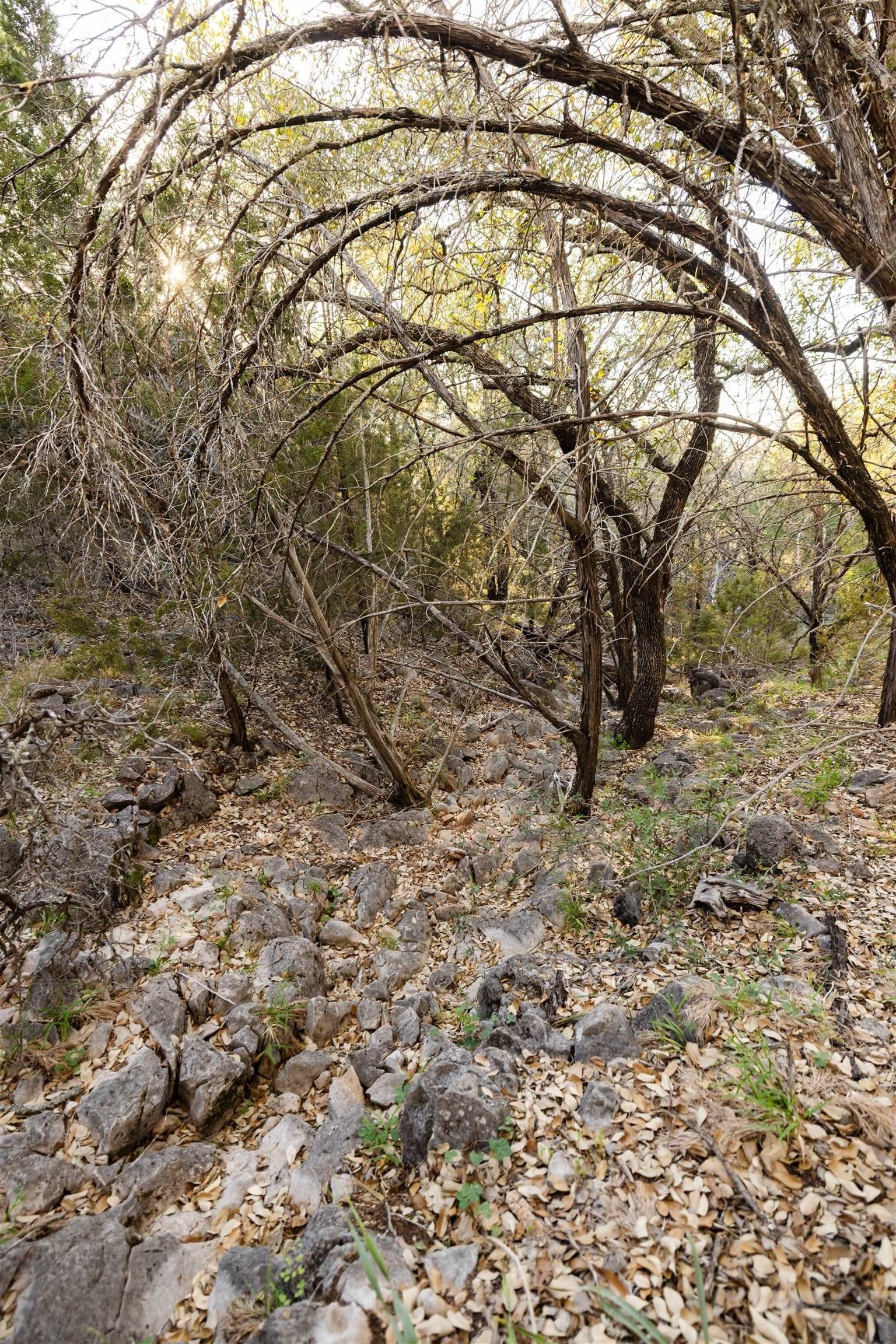 14.3 acres in Burnet County - photo 8