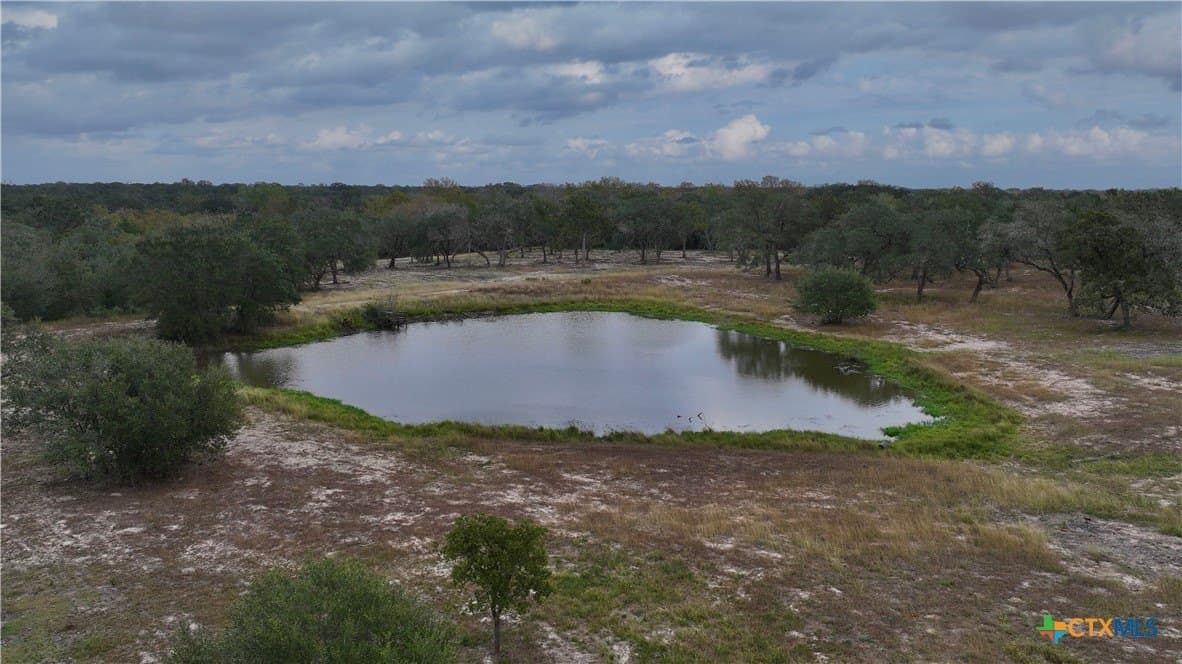12.81 acres in Victoria County - photo 8