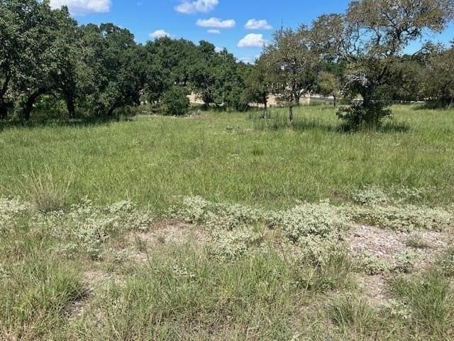 0.29 acres in Llano County gallery image 2