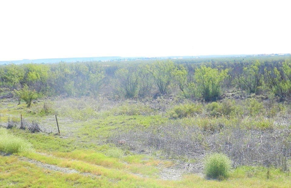 367 acres in Pecos County - photo 14