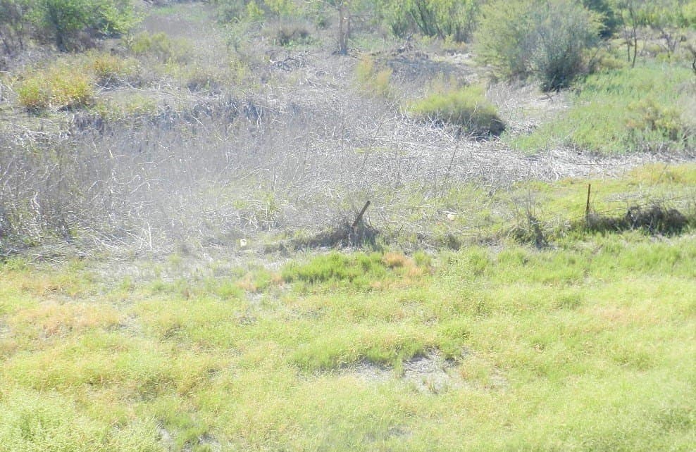 367 acres in Pecos County - photo 13