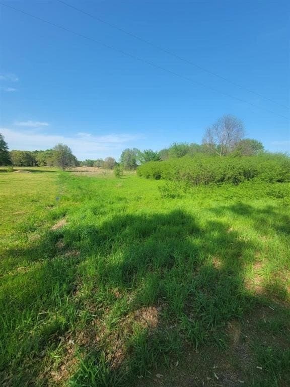 2.23 acres in Wood County gallery image 2