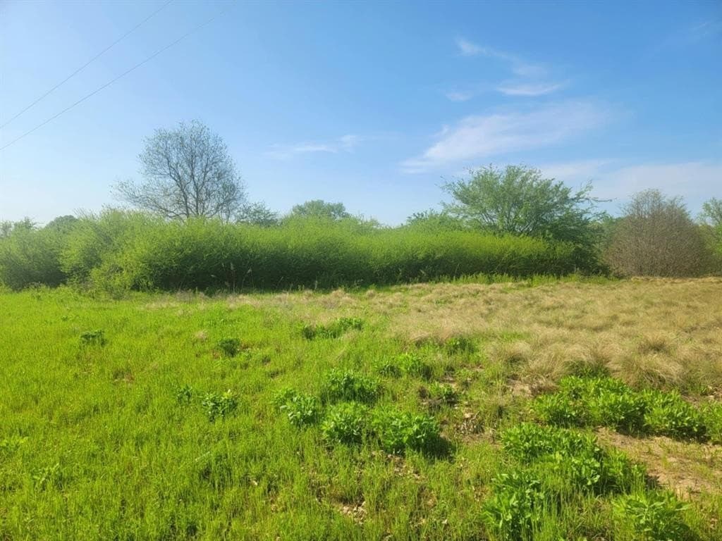 2.23 acres in Wood County gallery image 4