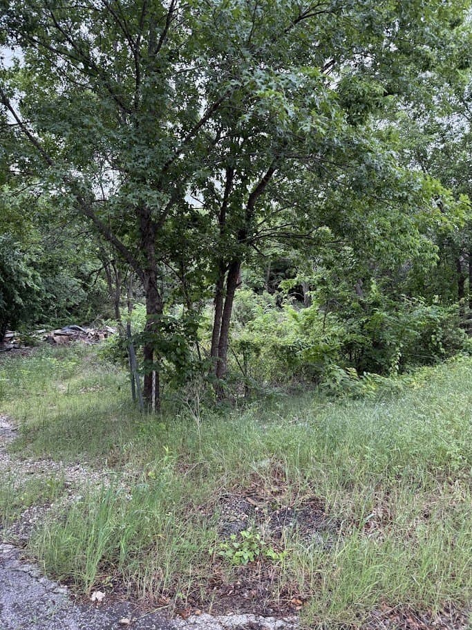 0.56 acres in Tarrant County gallery image 4