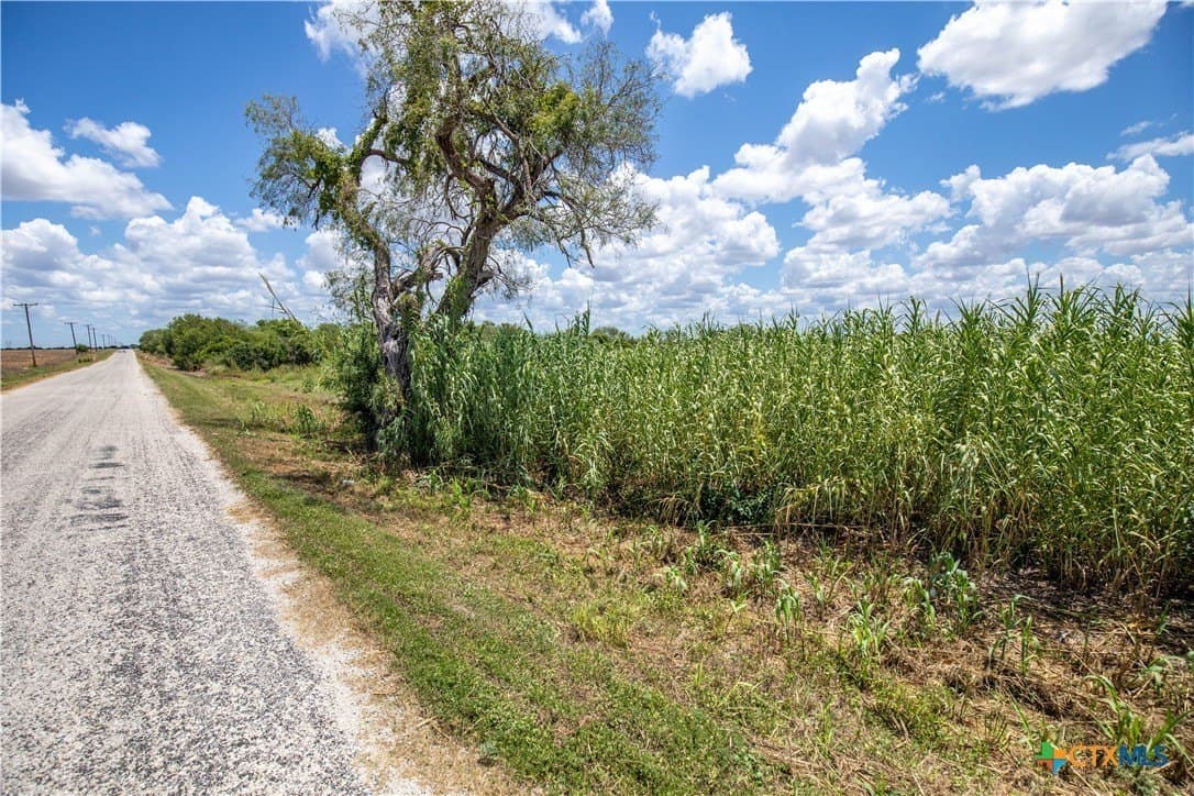 40 acres in San Patricio County - photo 19