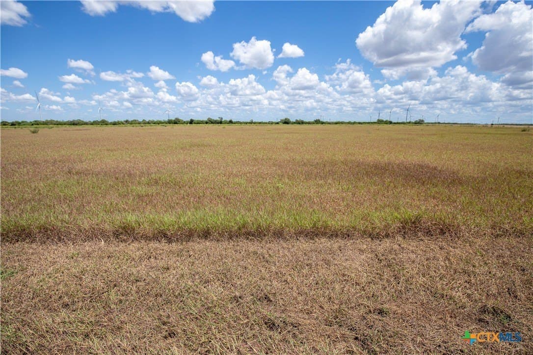 40 acres in San Patricio County - photo 35