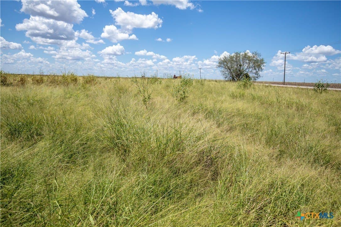 40 acres in San Patricio County - photo 42