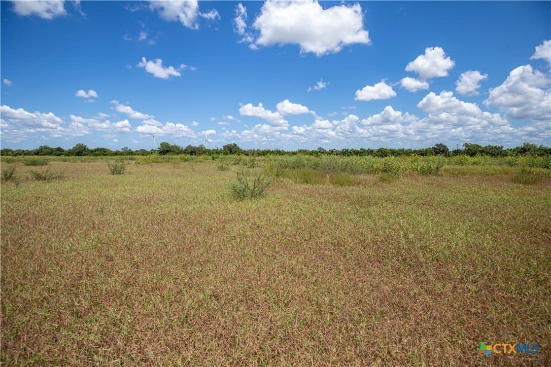 40 acres in San Patricio County - photo 28