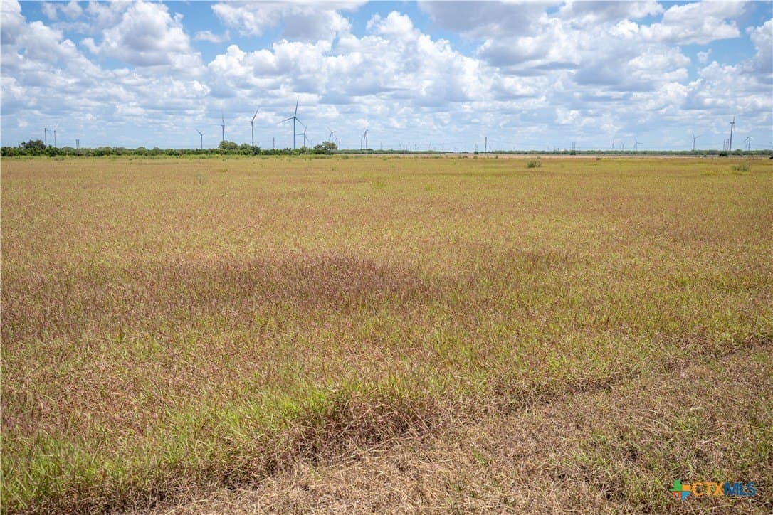 40 acres in San Patricio County - photo 37