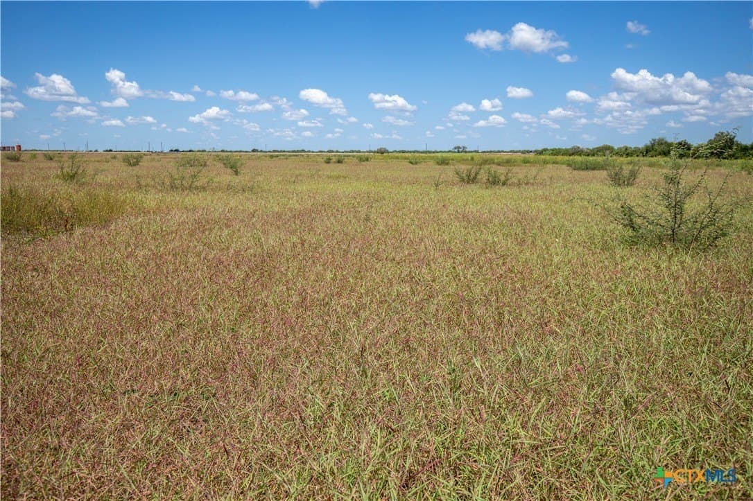 40 acres in San Patricio County - photo 30