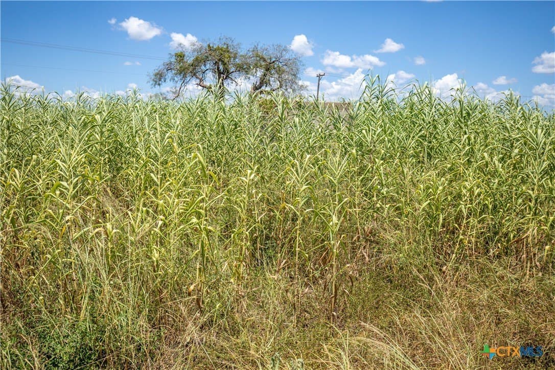 40 acres in San Patricio County - photo 45