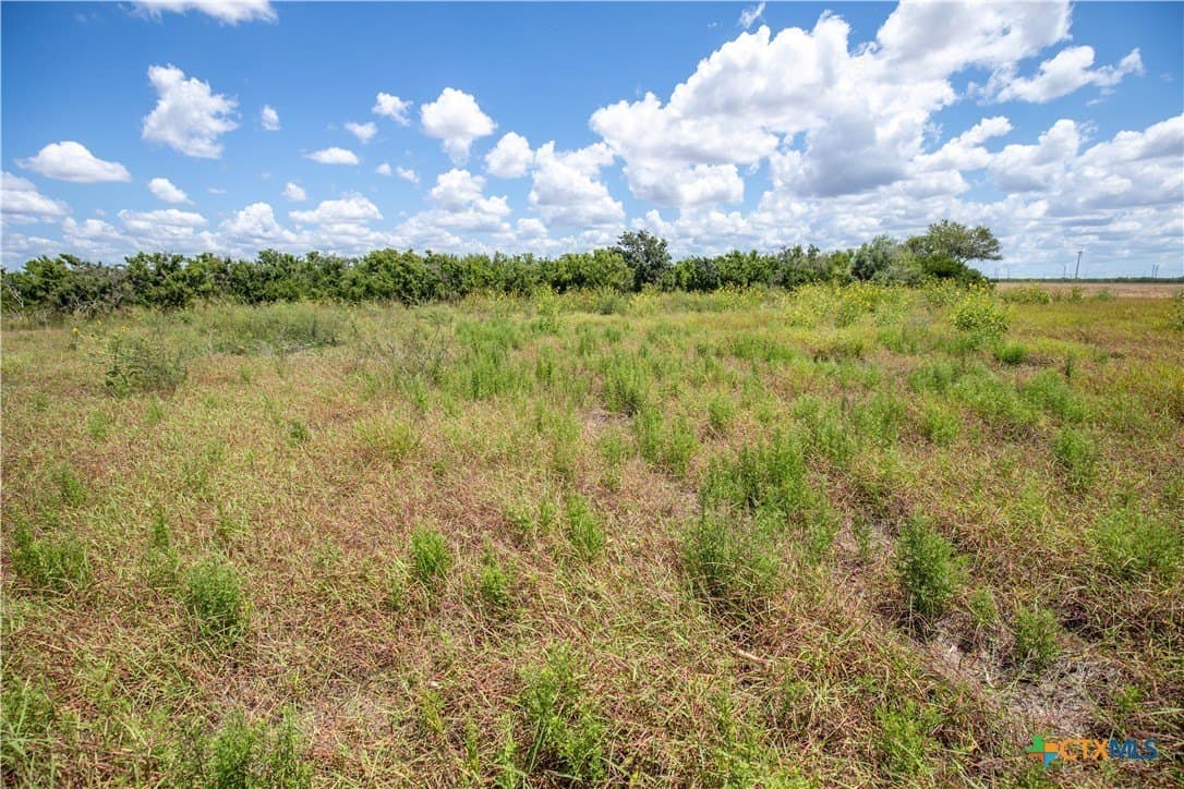 40 acres in San Patricio County - photo 24