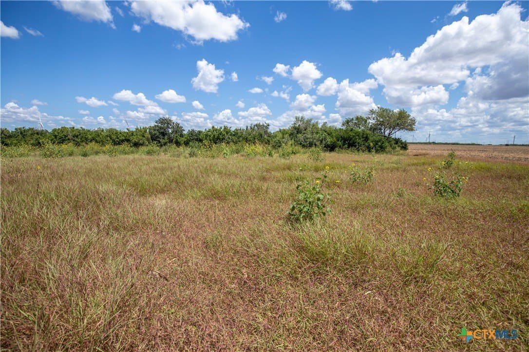 40 acres in San Patricio County - photo 23