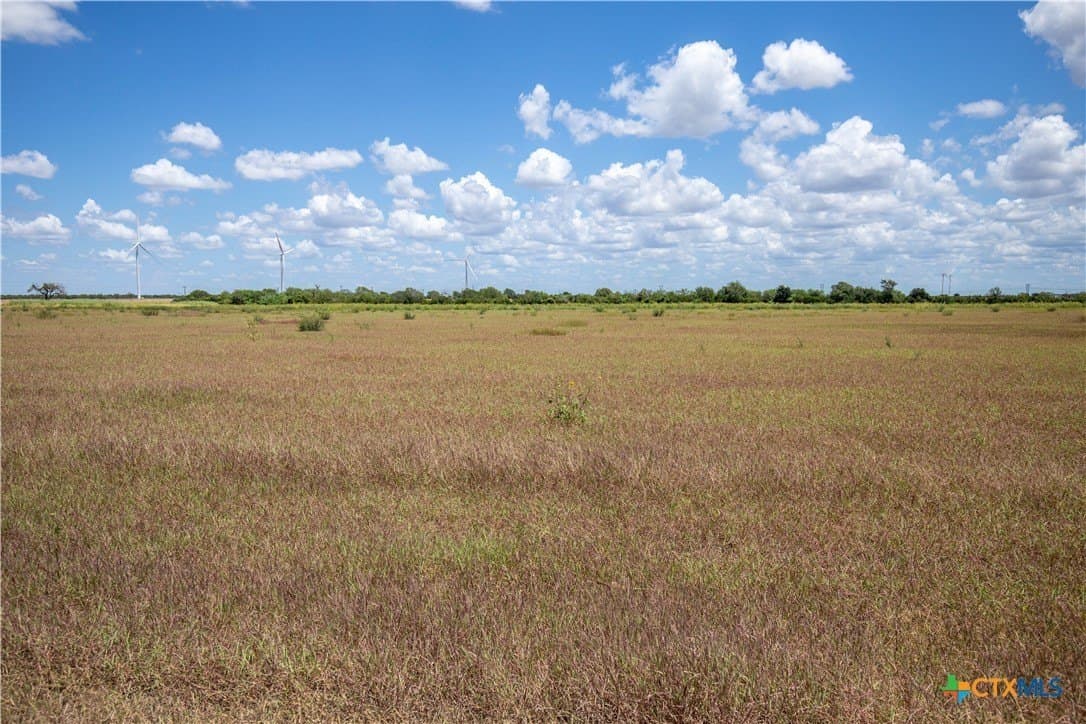 40 acres in San Patricio County - photo 39