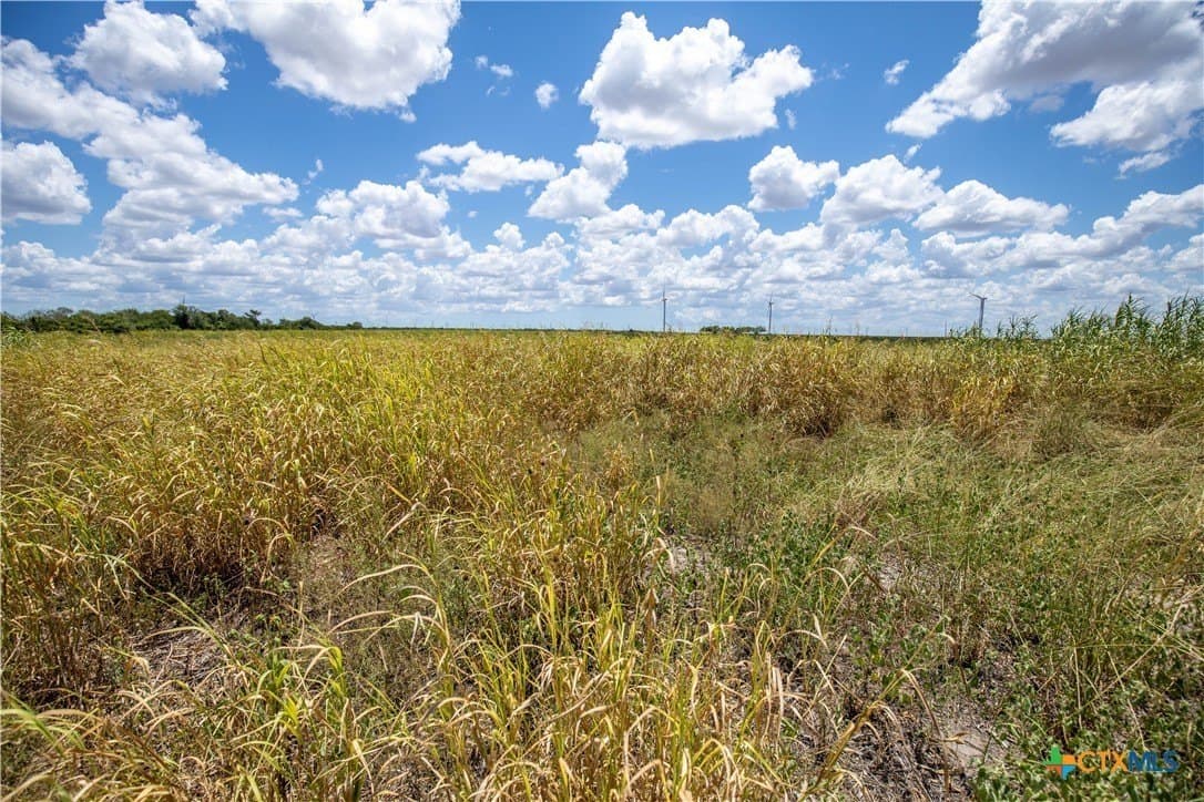 40 acres in San Patricio County - photo 44