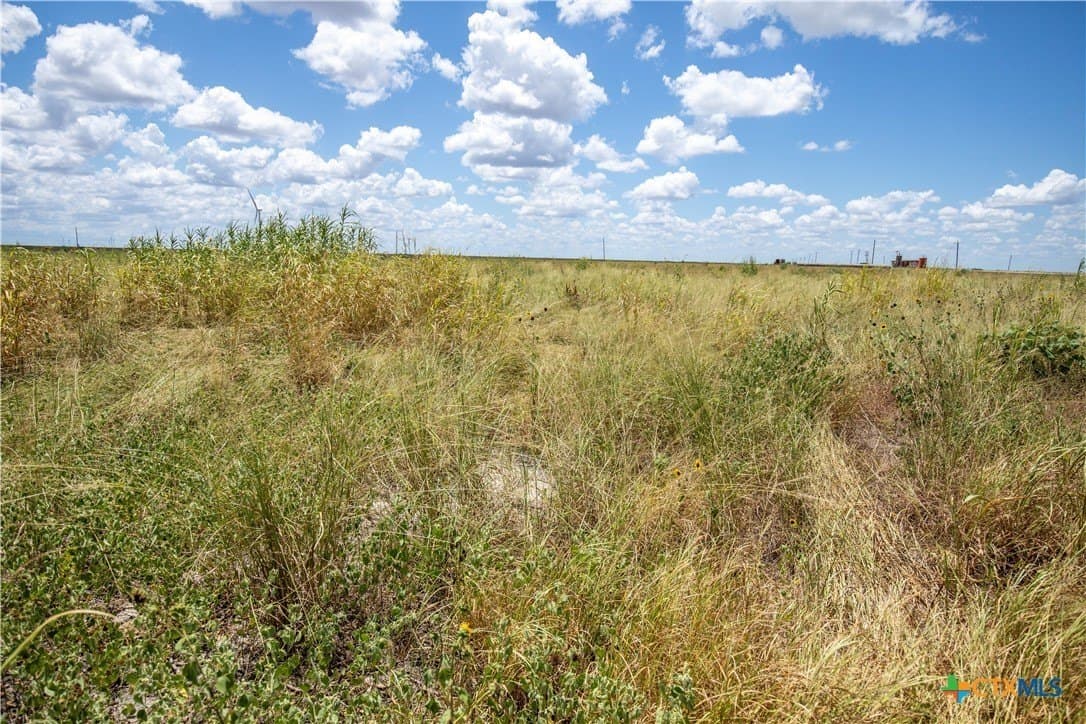 40 acres in San Patricio County - photo 43