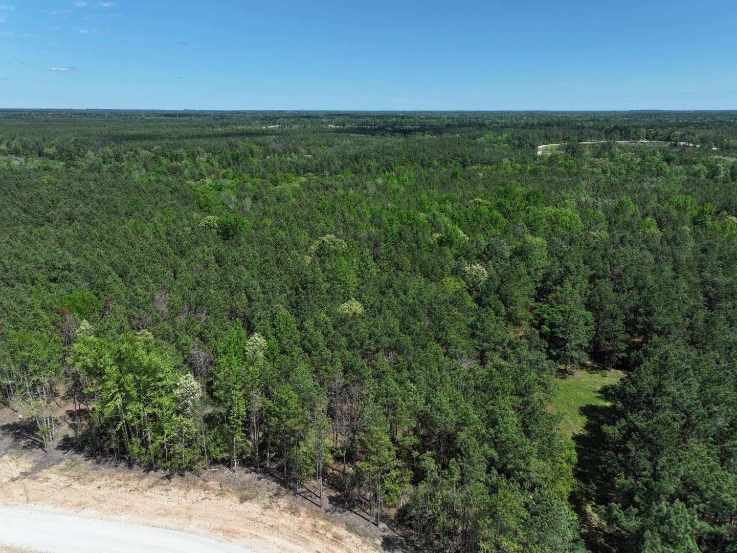 10.01 acres in Houston County - photo 7