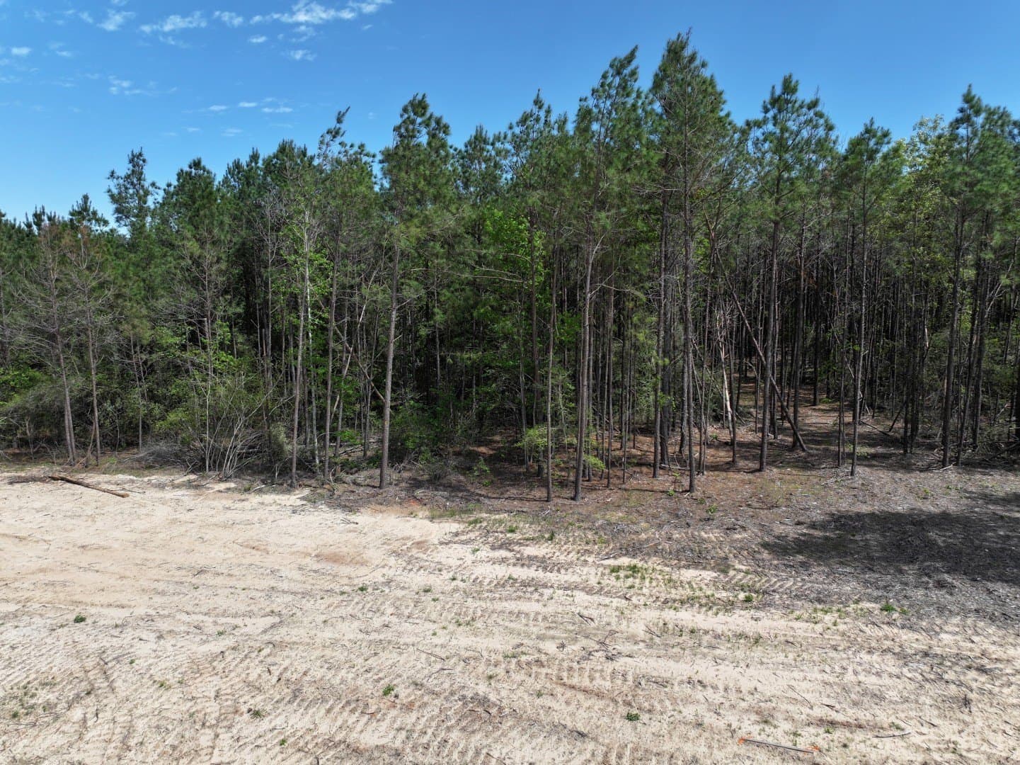 10.01 acres in Houston County - photo 11