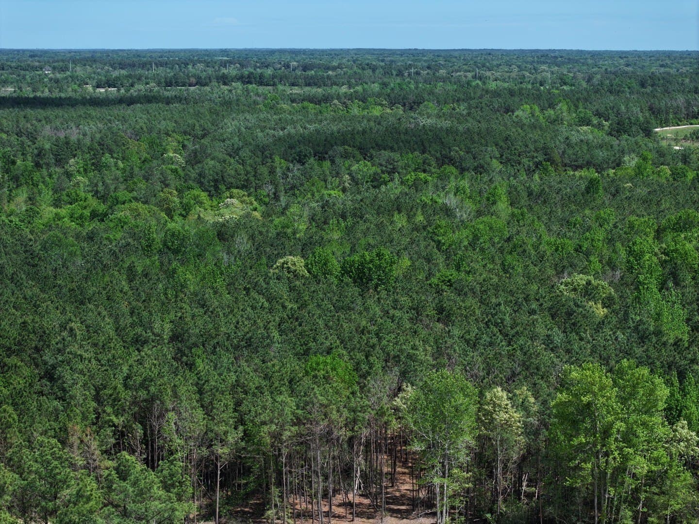 10.01 acres in Houston County featured view