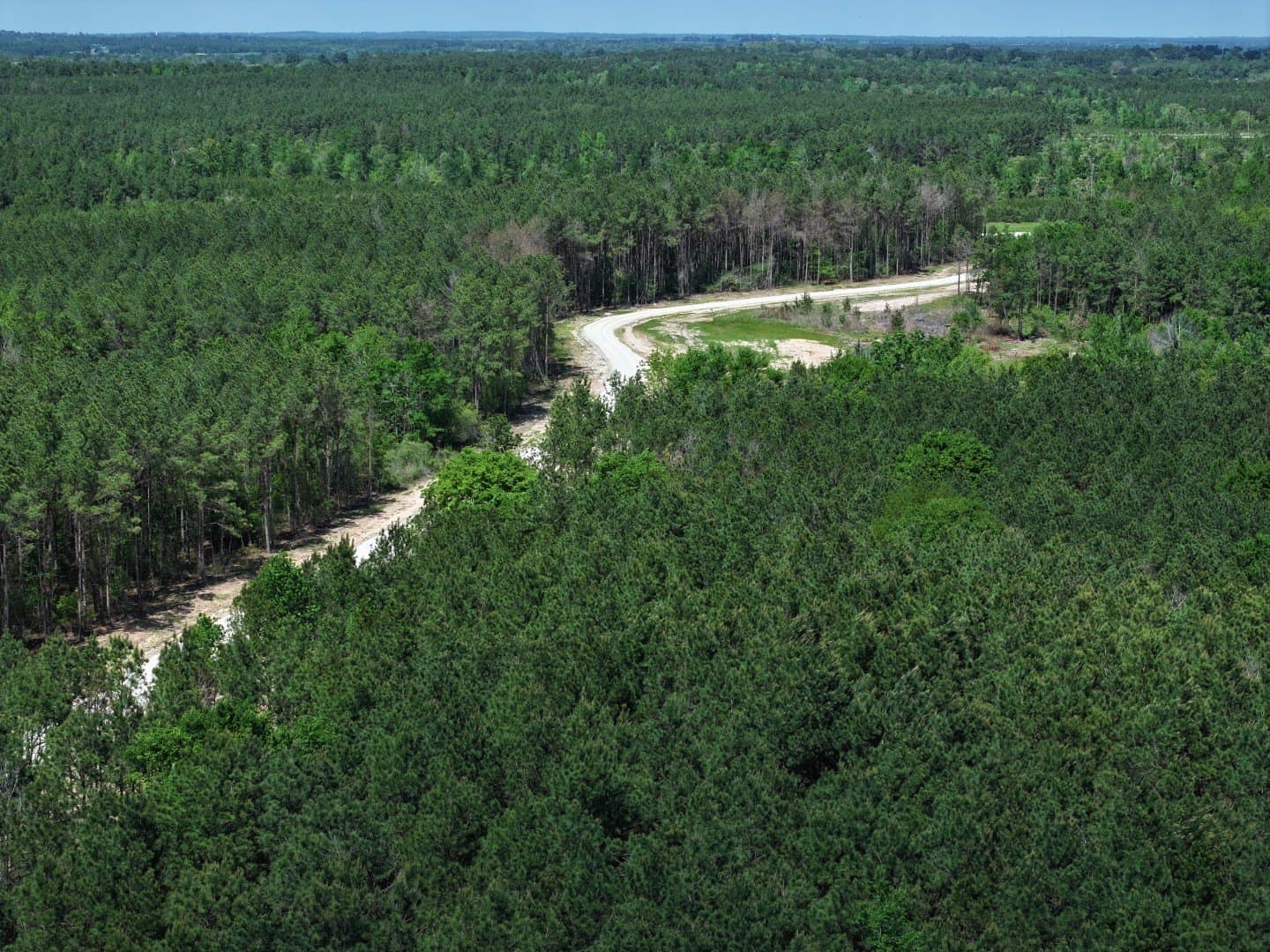 10.01 acres in Houston County - photo 9
