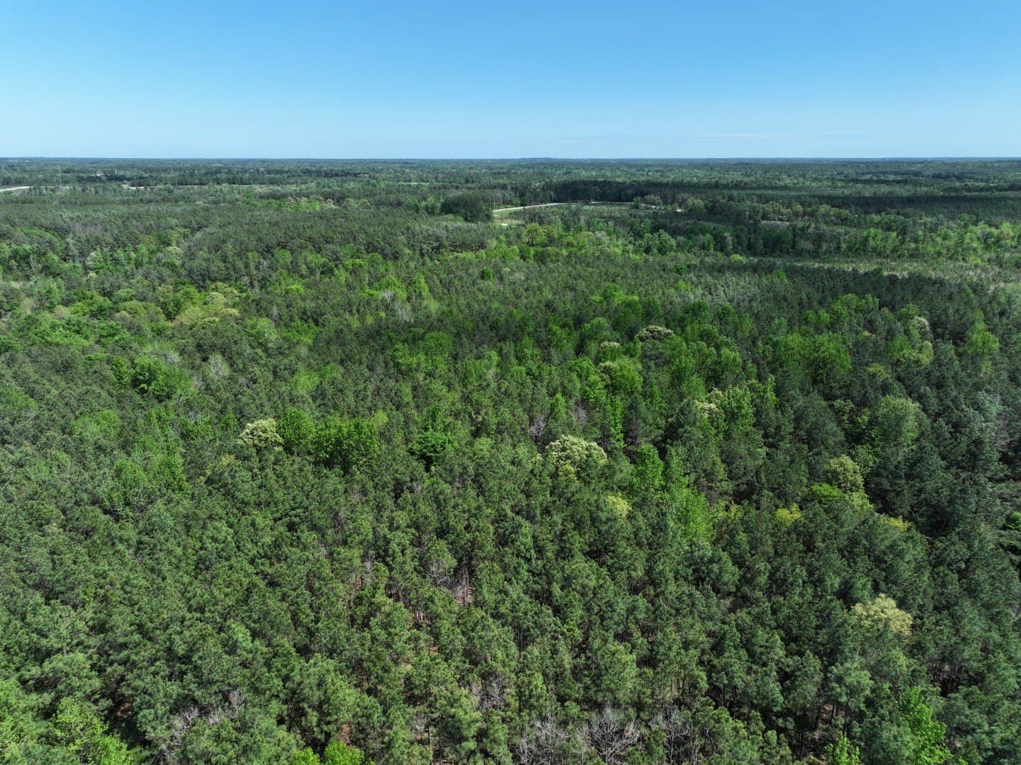 10.01 acres in Houston County - photo 6