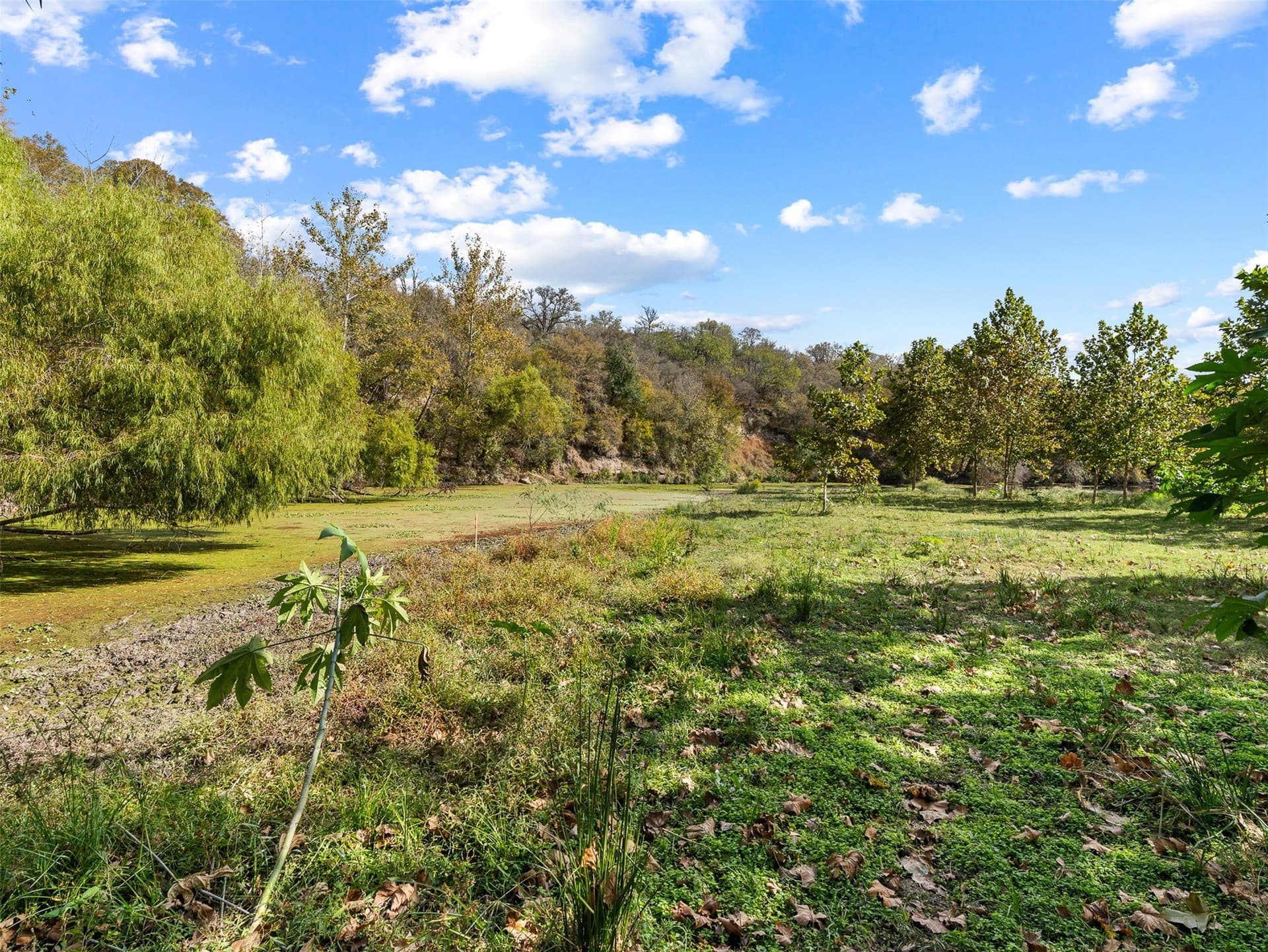 16.13 acres in Guadalupe County - photo 29